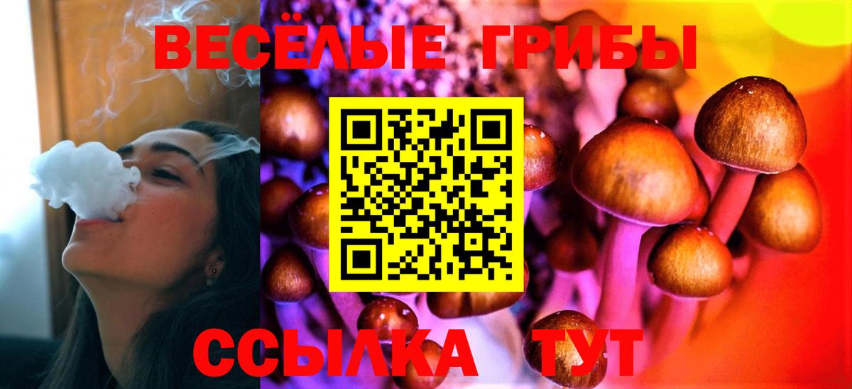 Галлюциногенные грибы ЛСД  Вход с VPN  Фролово  Галлюциногенные грибы MAGIC MUSHROOMS 