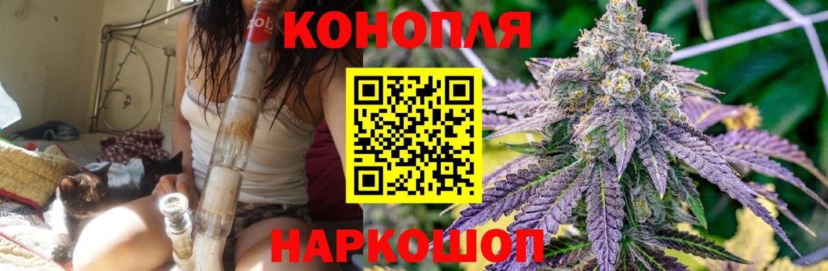 Бошки Шишки конопля Фролово